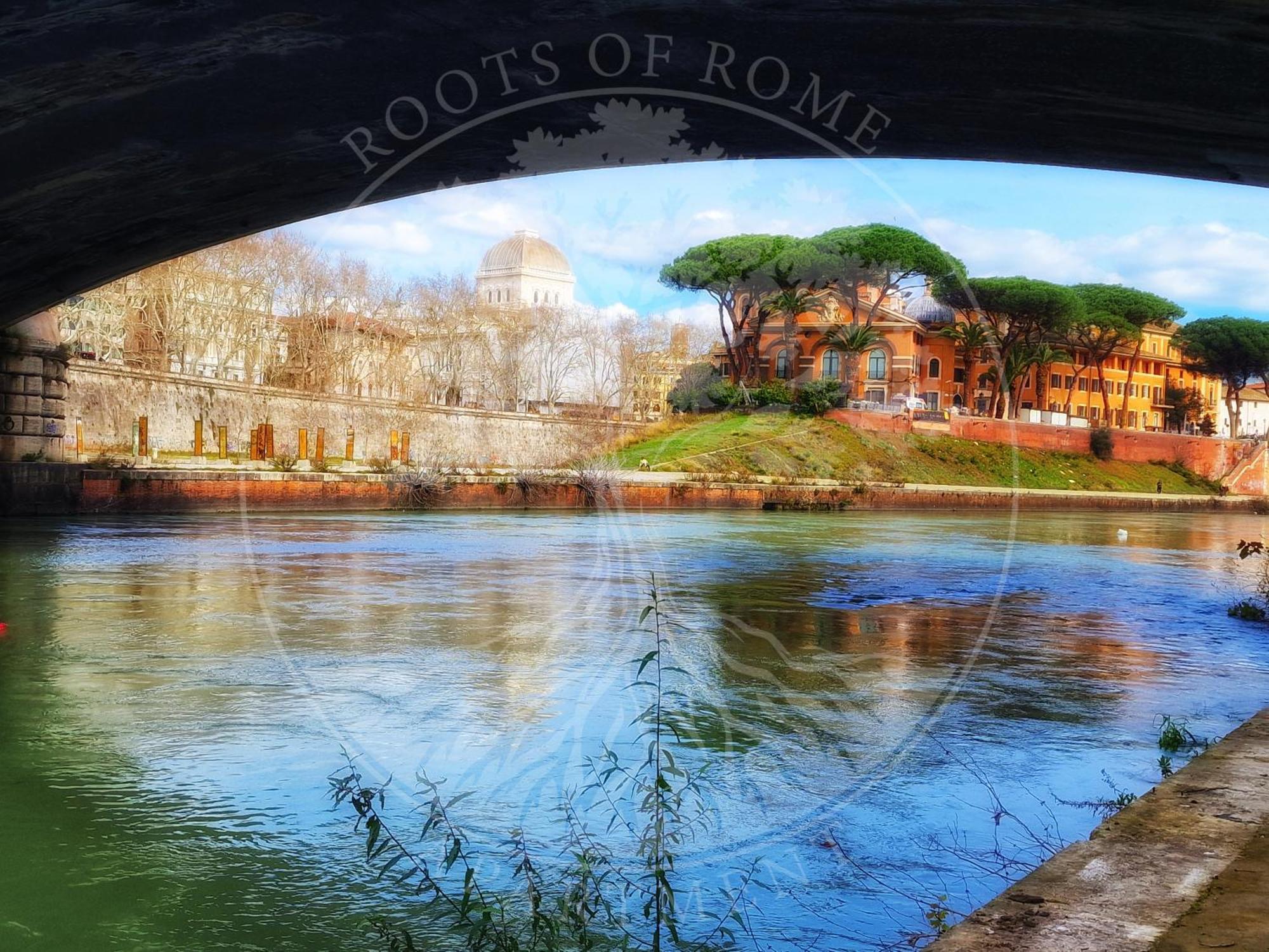 Roots Of *
