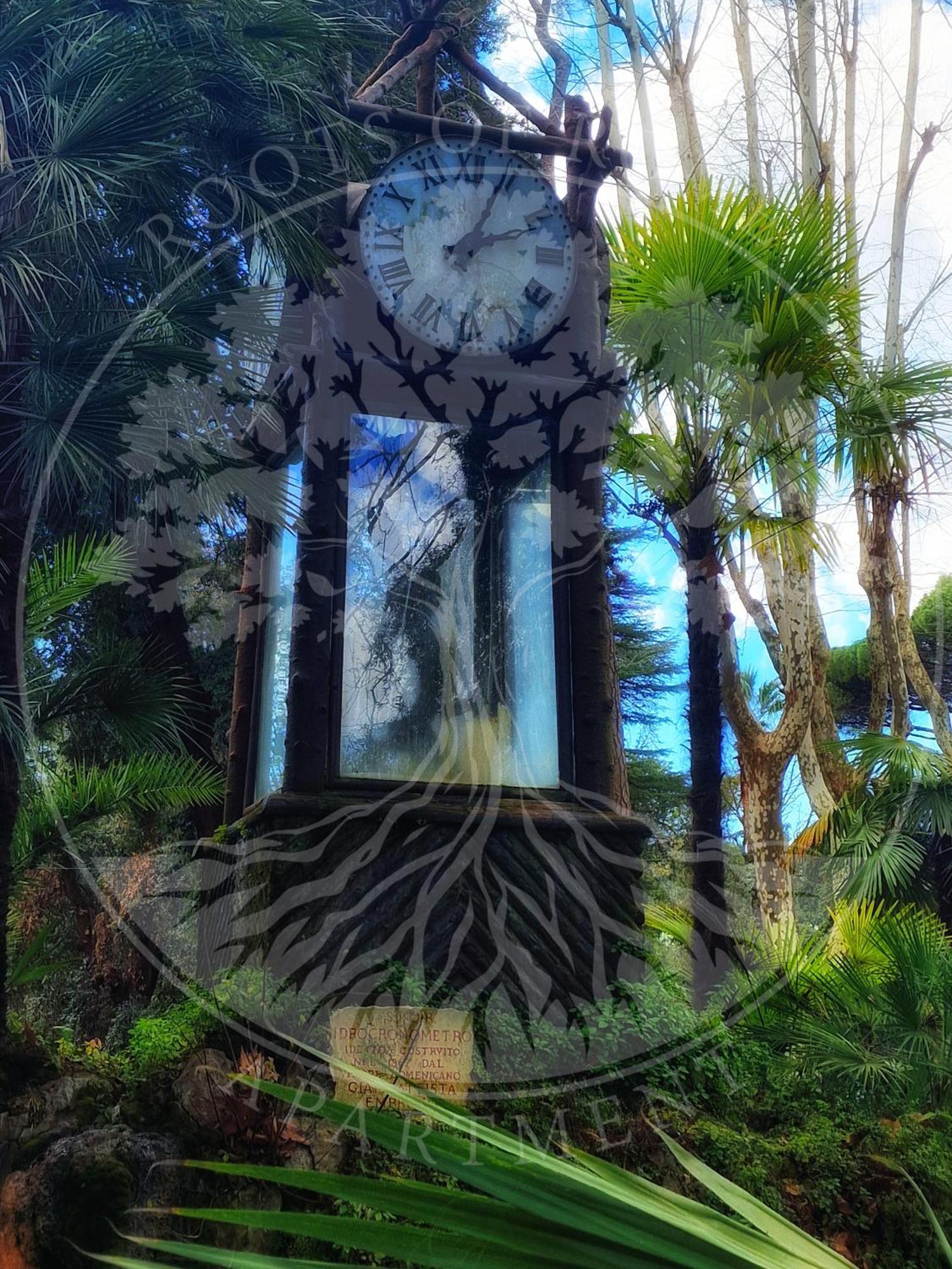 Roots Of Appartamento